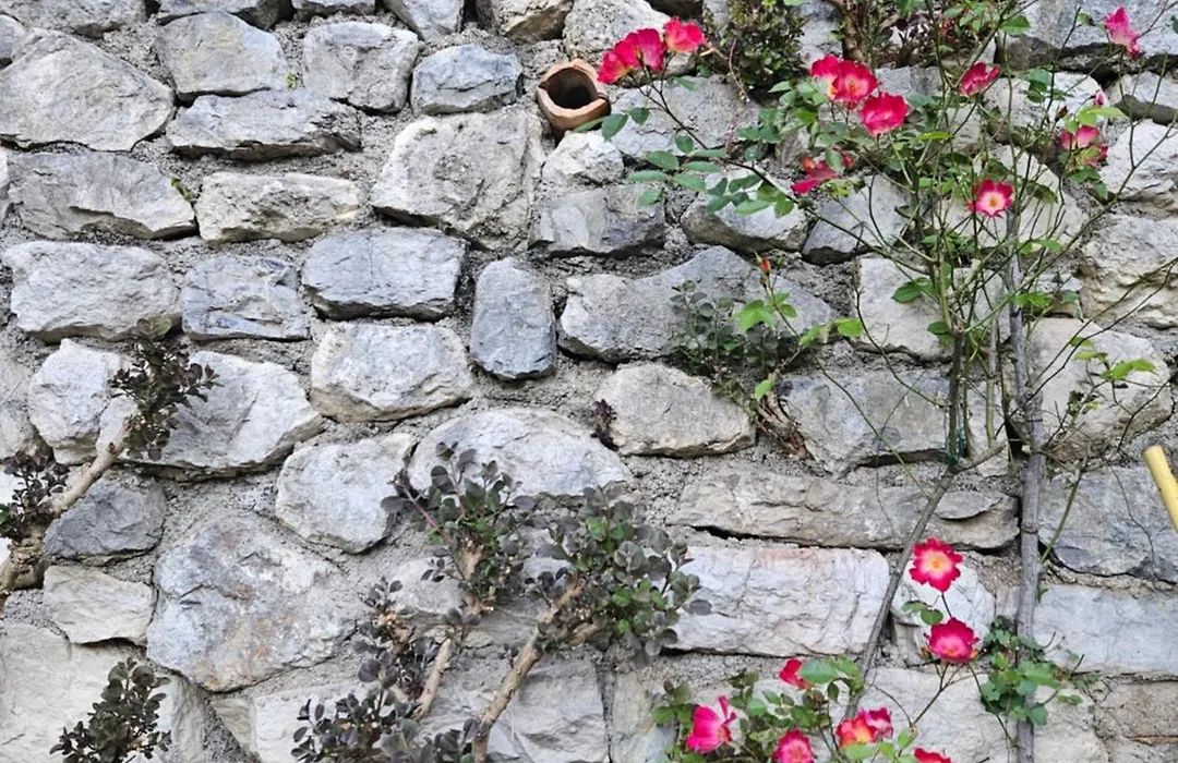 Gardainn Giardino 38A-1