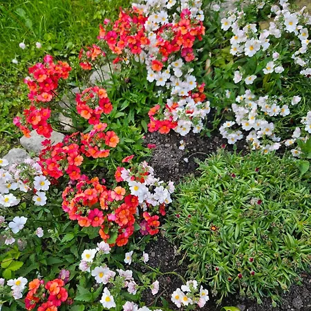 Gardainn Giardino 38A-3